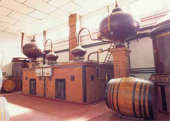 Cognac - Brandy‏